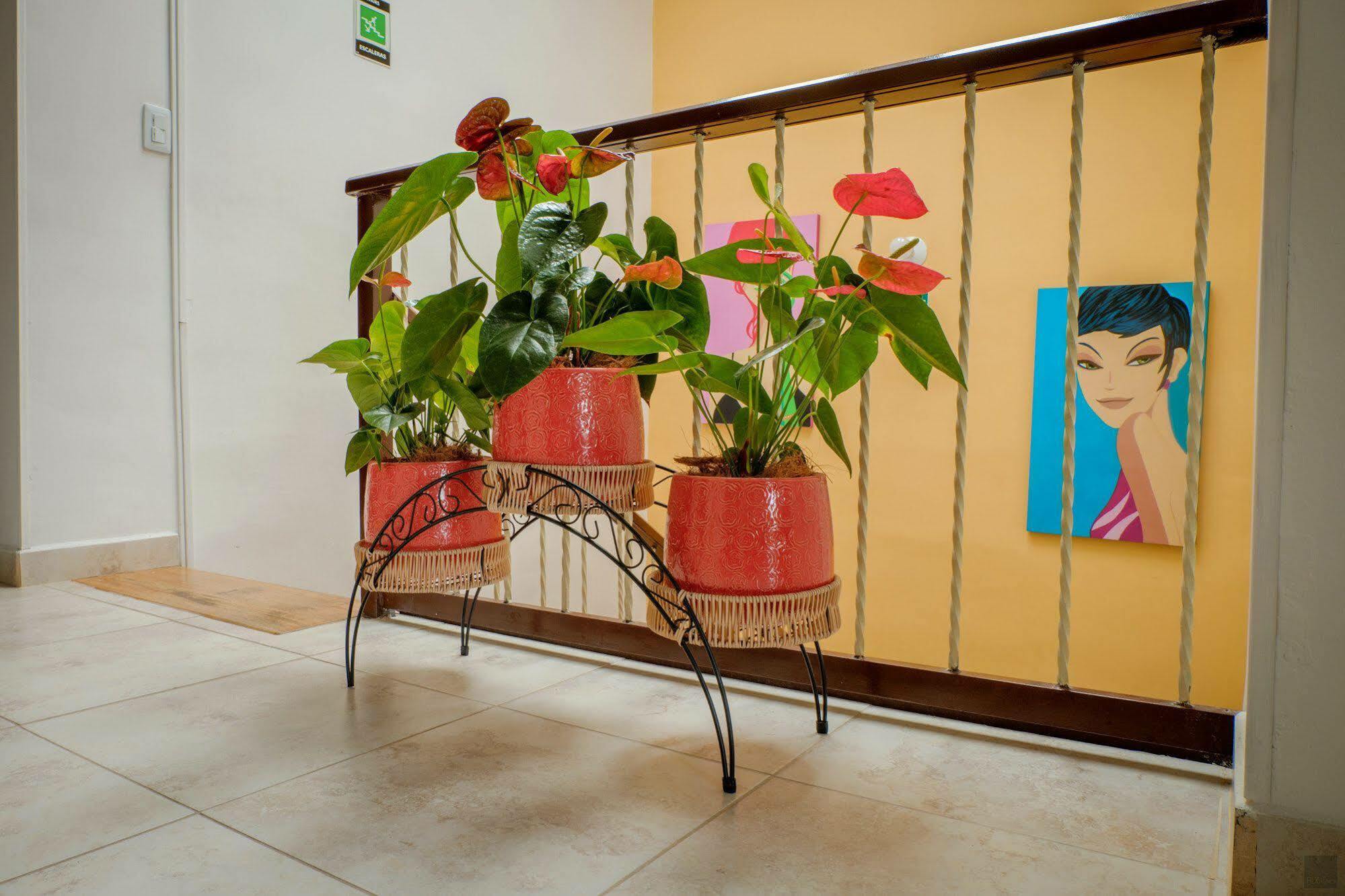 Casa Borbon Hotel ซาเลนโต ภายนอก รูปภาพ